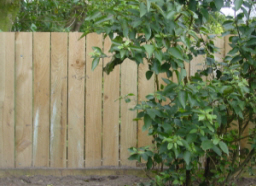 Timber Paling Fence
